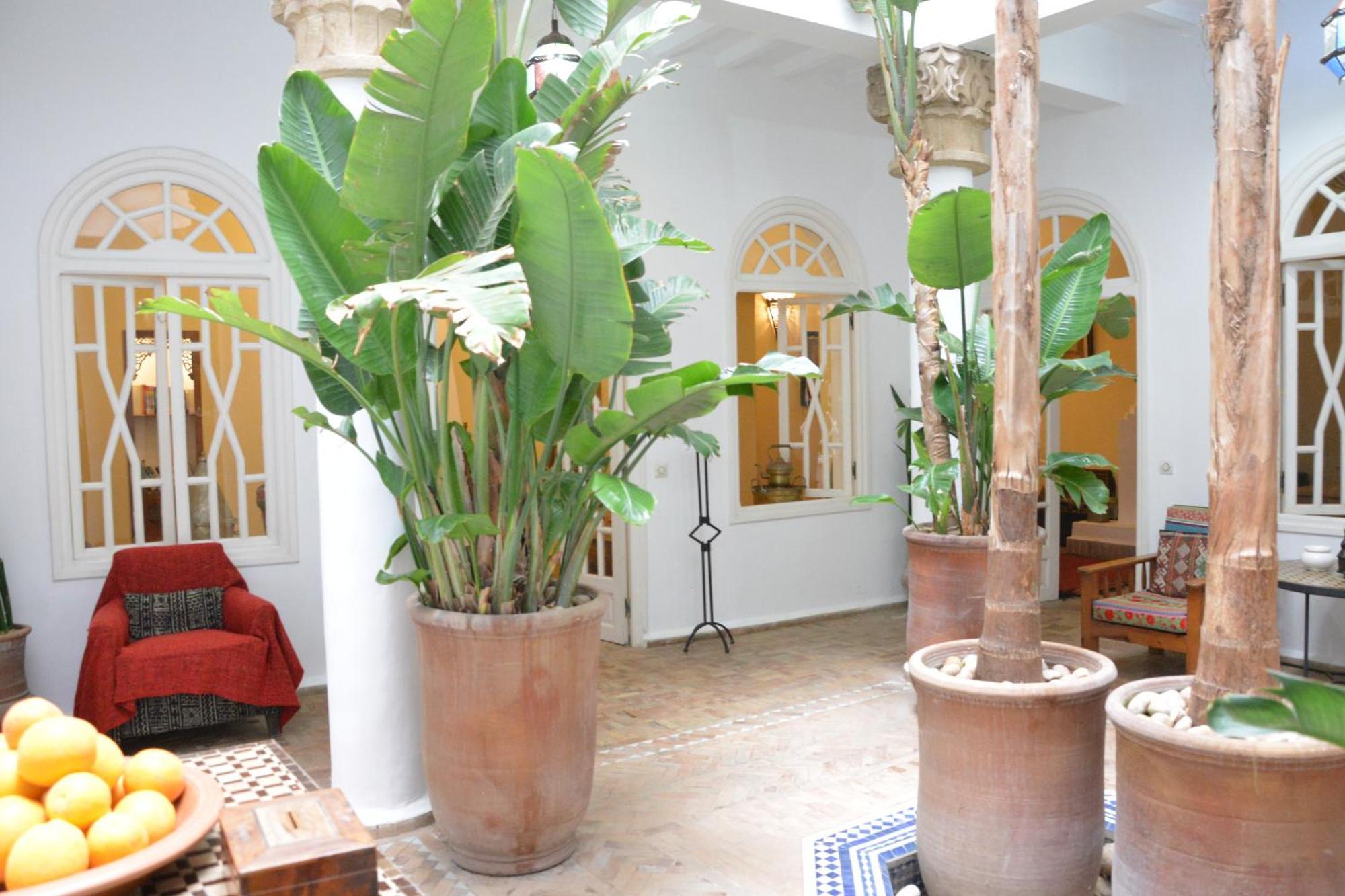 Hotel Dar Loulema Essaouira Esterno foto