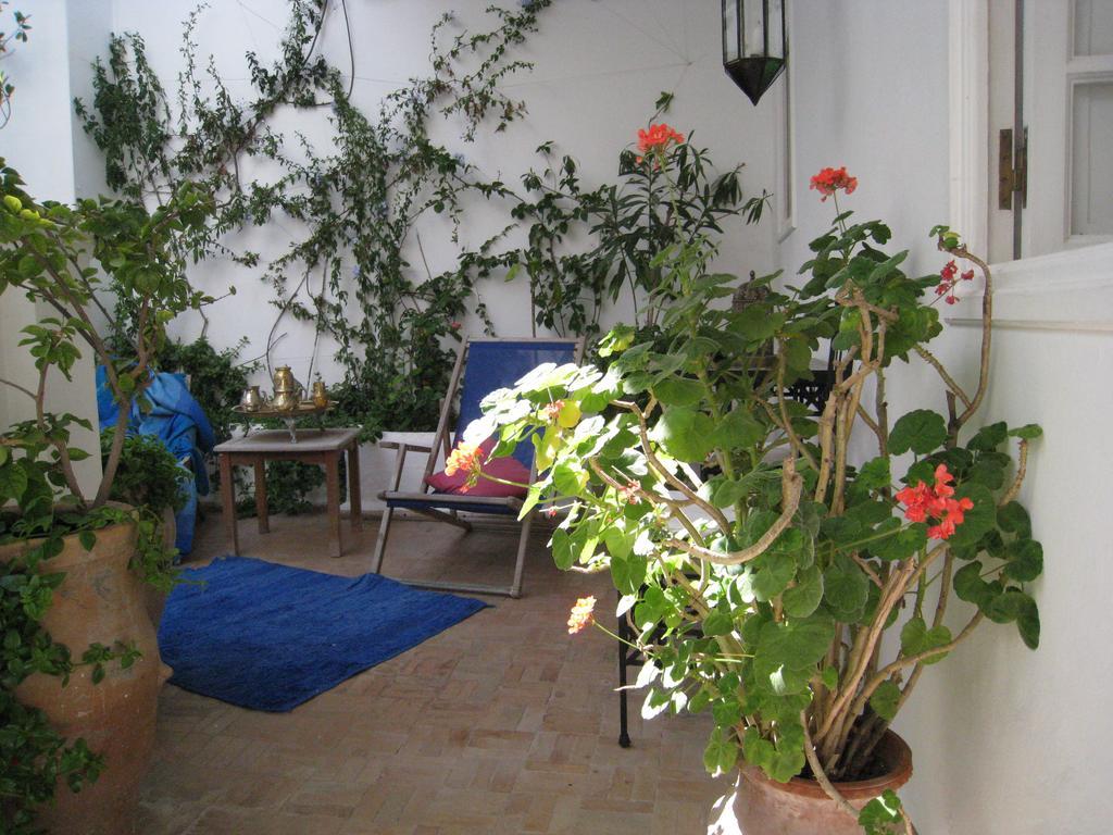 Hotel Dar Loulema Essaouira Esterno foto